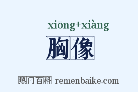 胸像是什么意思的图片